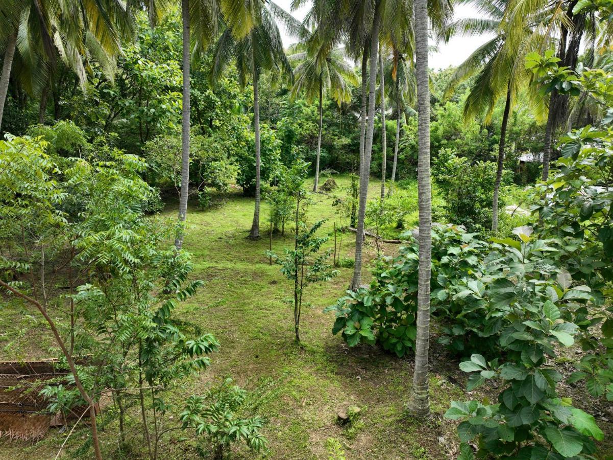 Hotel Coconut Tree House Udawalawe Esterno foto