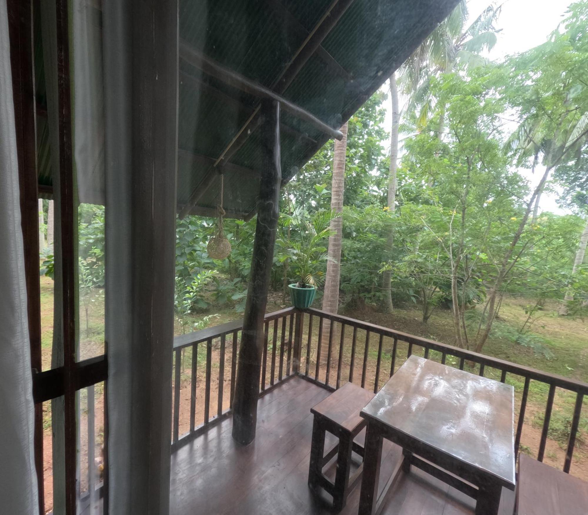 Hotel Coconut Tree House Udawalawe Esterno foto